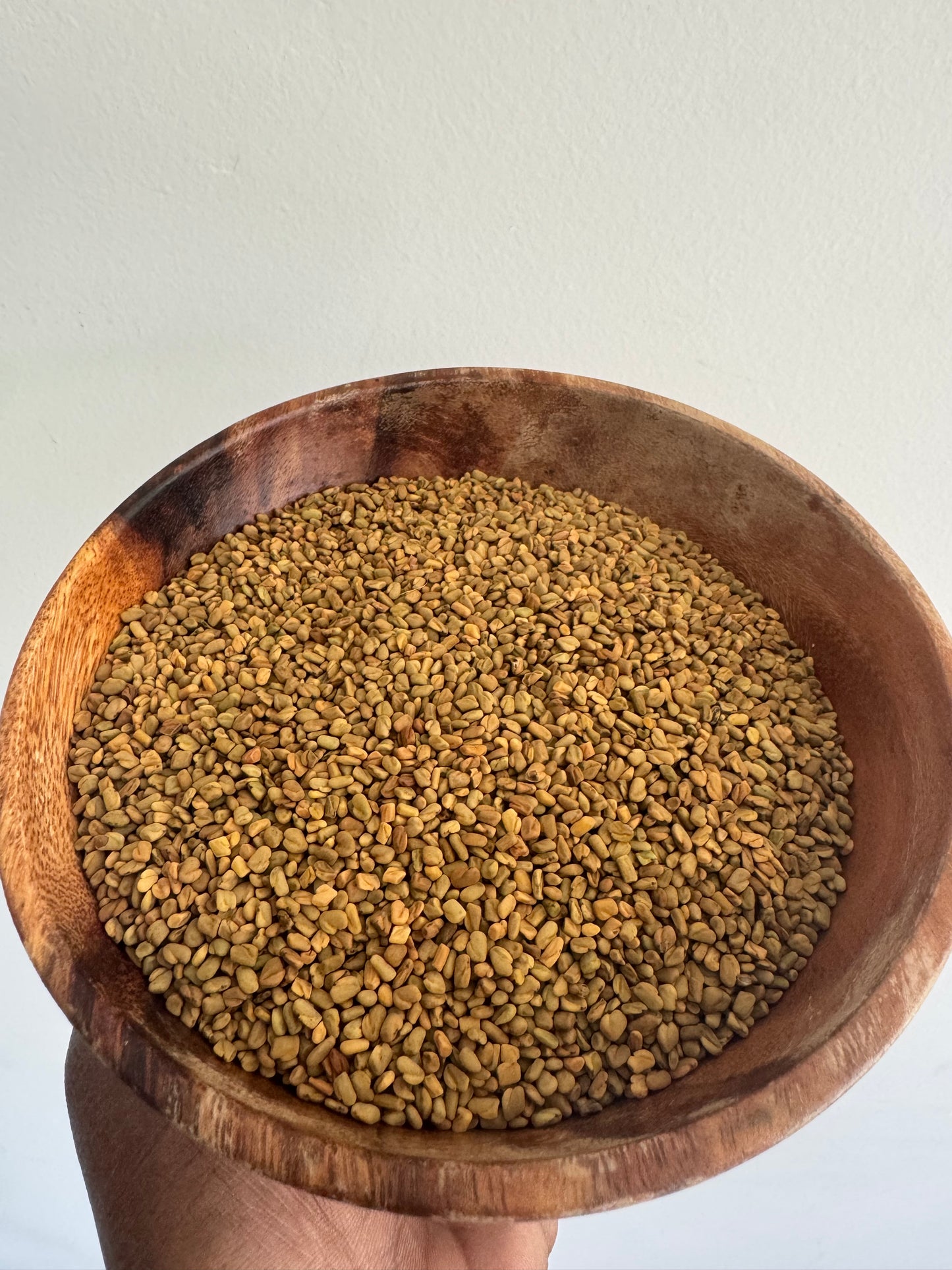 Fenugreek Seeds