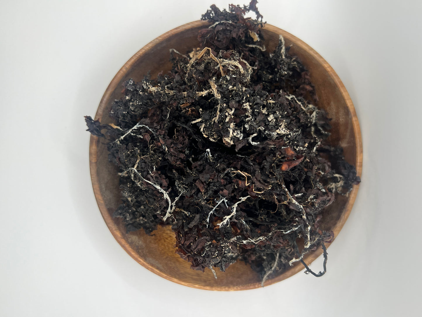 Bladderwrack