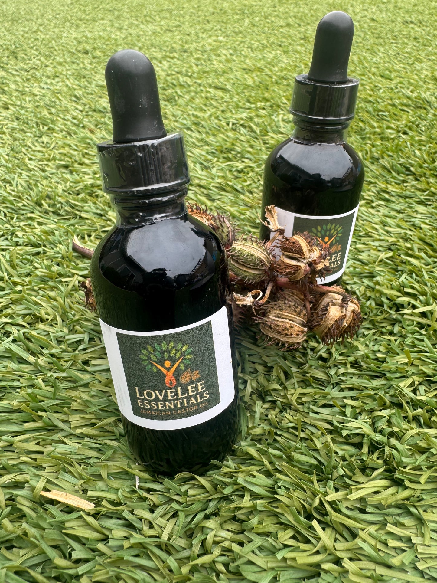 Pure Jamaican Castor Oil (Ricinus communis)
