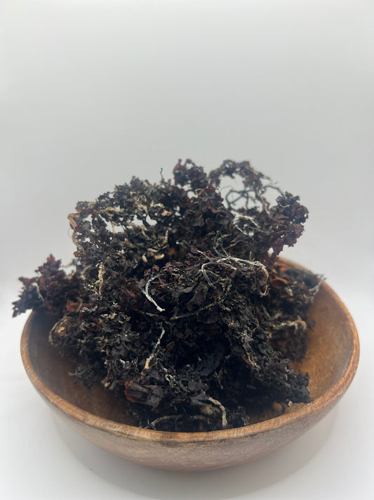 Bladderwrack