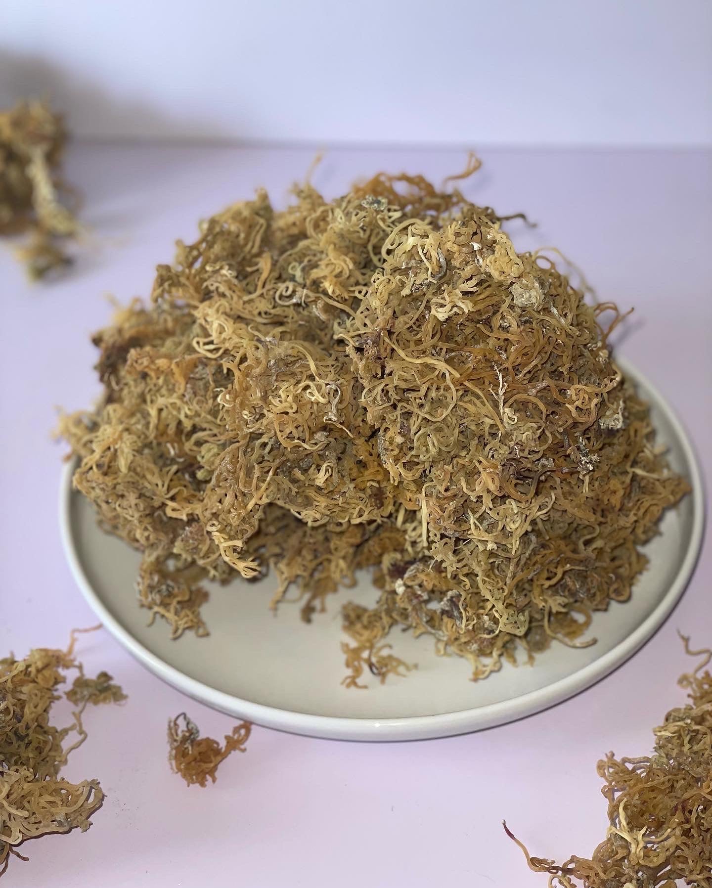 Gold Round Jamaican Sea Moss 4 oz