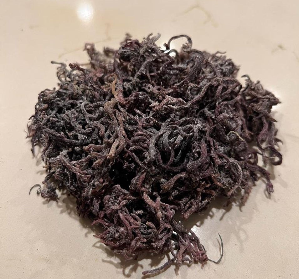 Jamaican Purple Round Sea Moss